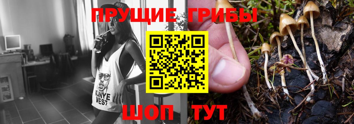 Добрянка  Псилоцибиновые грибы MAGIC MUSHROOMS  Вход с VPN  Псилоцибиновые грибы прущие грибы 